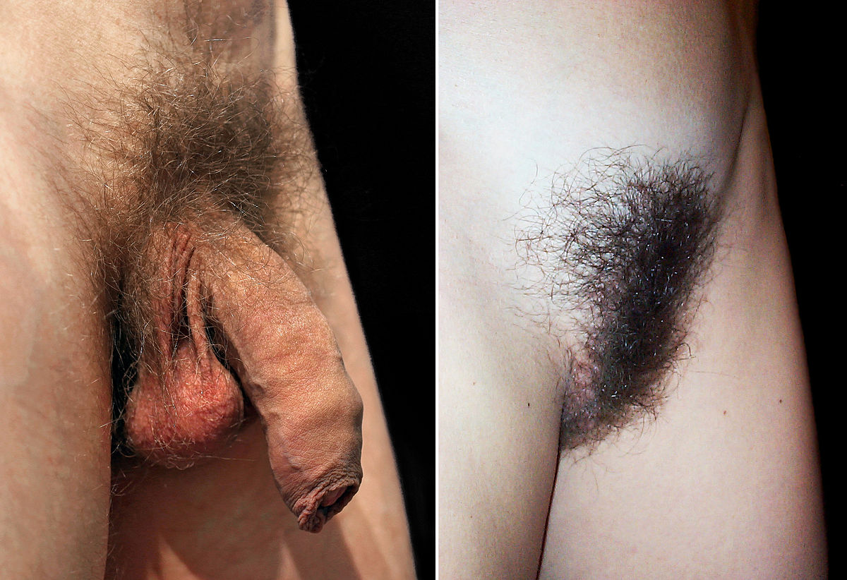 Miss reccomend pubic hair exposed