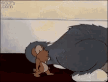 Lumber reccomend gay tom and jerry porn