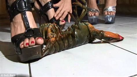 Lobster Crush Fetish