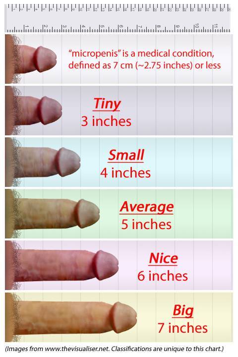 best of Dick sizes all