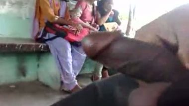 best of Bus indian
