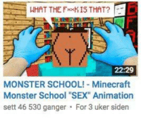 Minecraft sex school