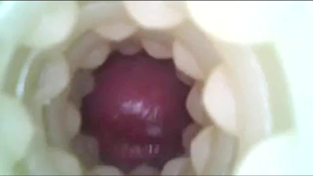 Cervix kisses cocks cumming inside