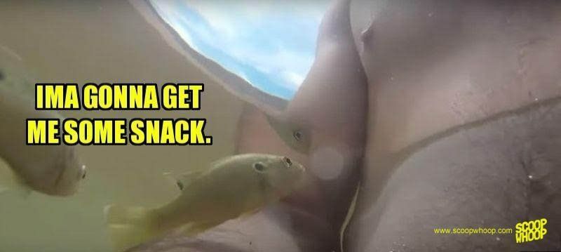First D. reccomend fish suck porn