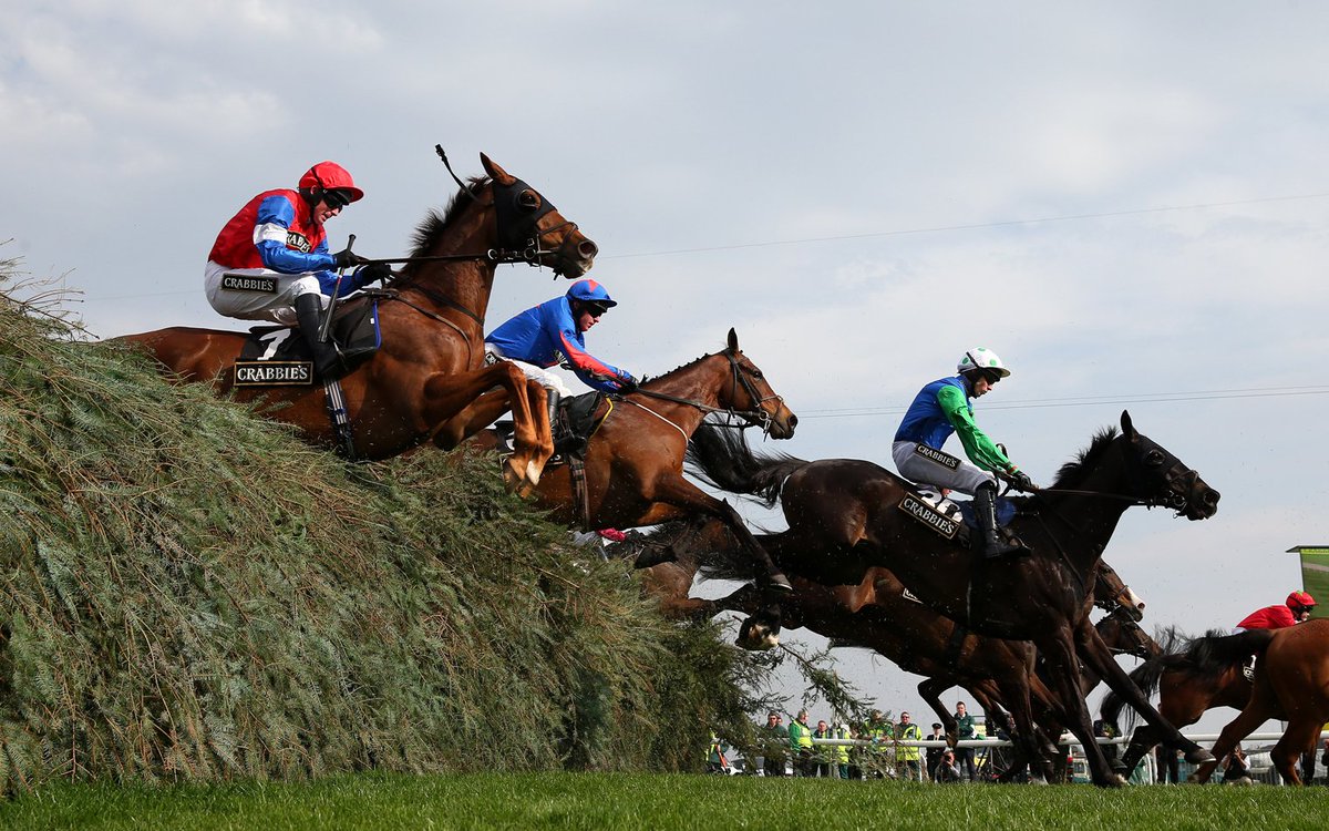 Mamsell reccomend grand national