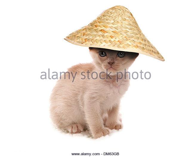 Vams reccomend Burmese asian hat style