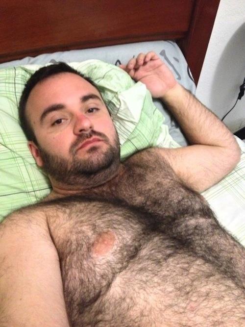 Bear Porn Tumblr