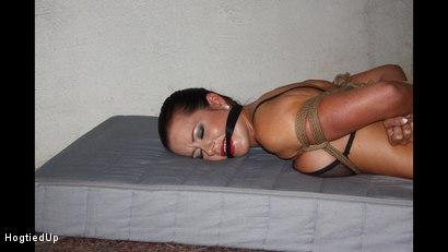 best of Gagged hogtied cleave