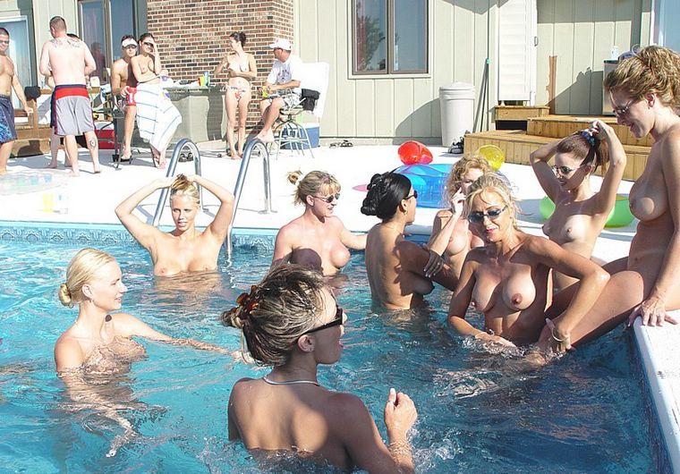 Canine reccomend lesbian orgy pool party