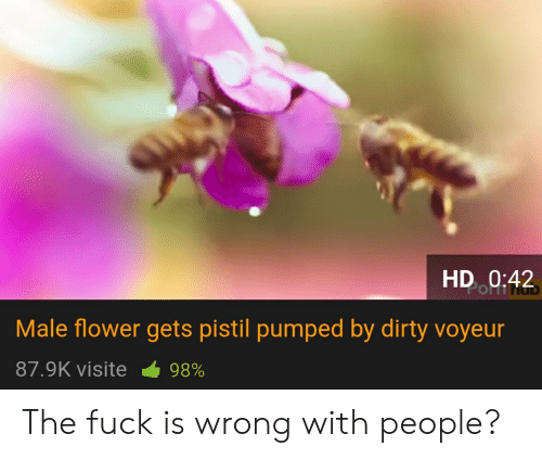 Male flower gets pistil