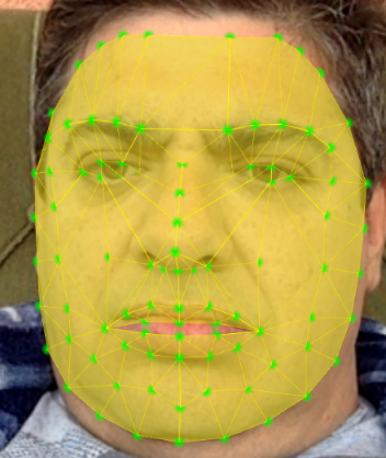 Lock S. reccomend Facial recognition sdk