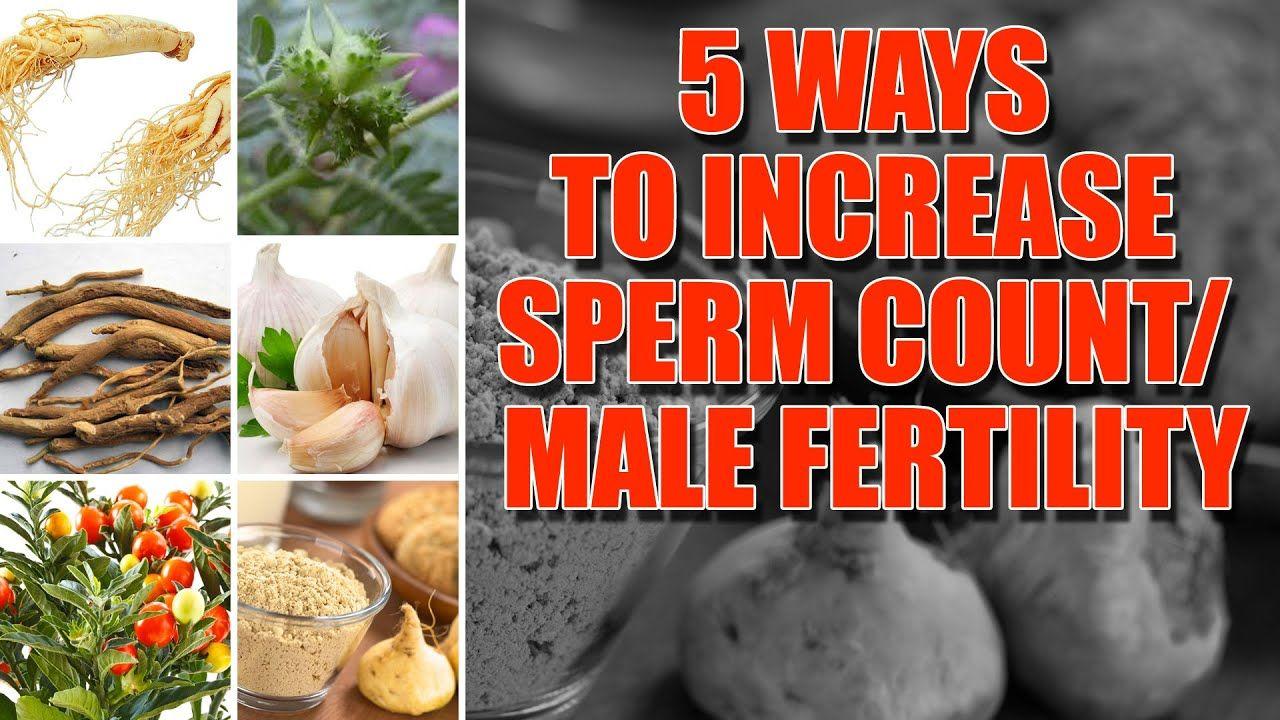 best of Loads sperm count of Getting
