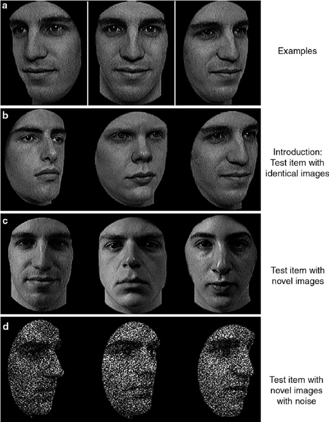 Bigs reccomend Facial expression tests