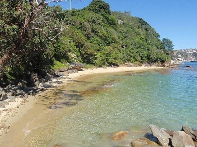 Peppermint reccomend Nudist beach australia nsw