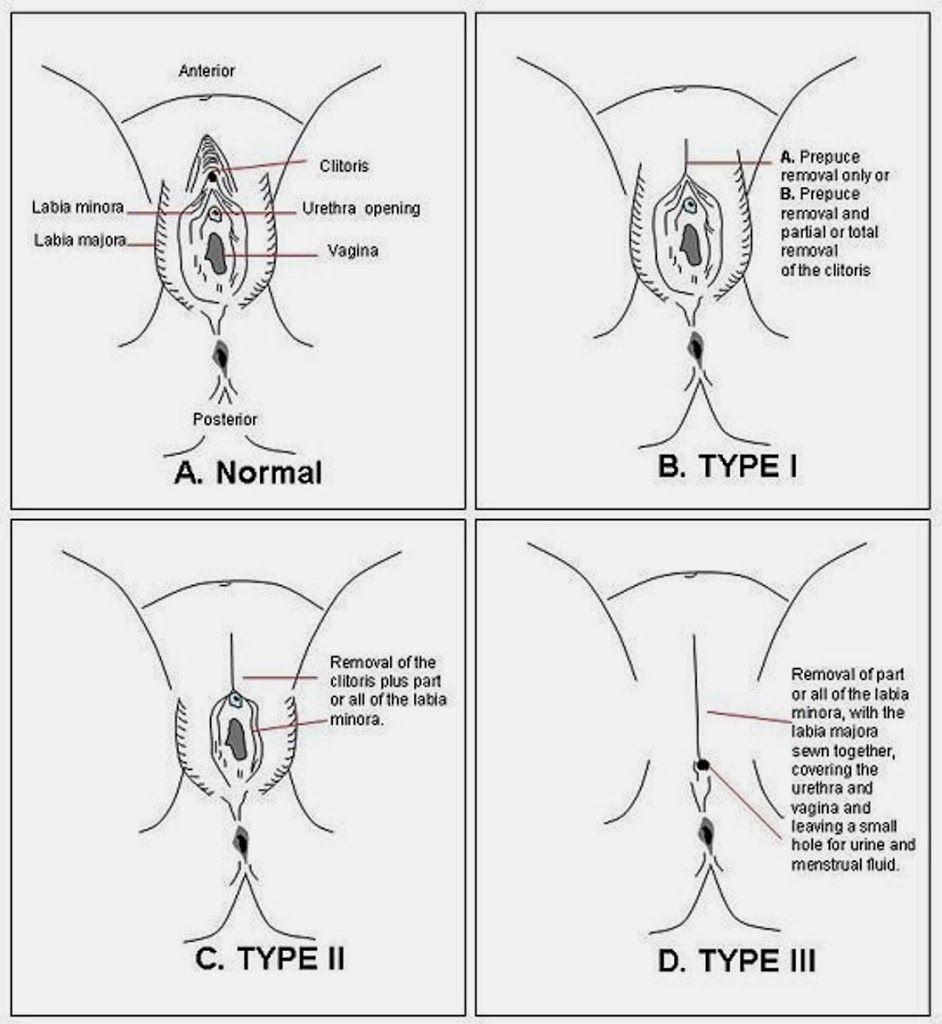 Black M. reccomend Guide to the clitoris