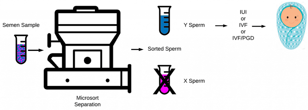 Sperm sorting cost