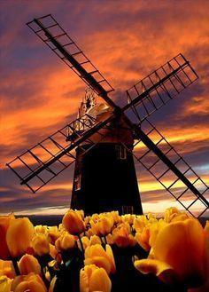 Dutch windmill sex position