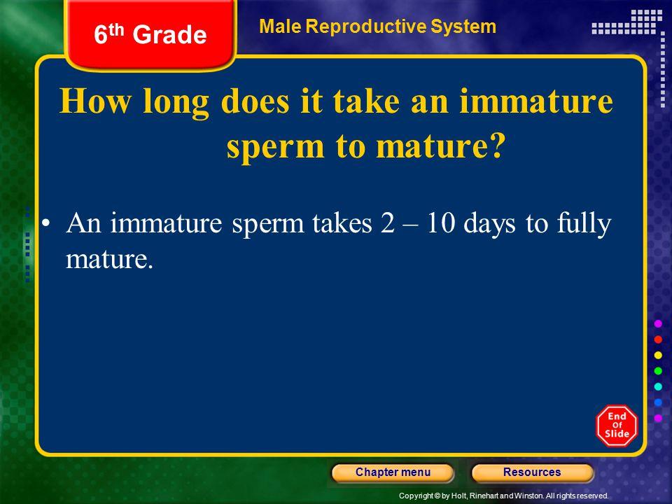 Stargazer reccomend How long sperm take to mature