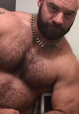 best of Bear Gay male hairy