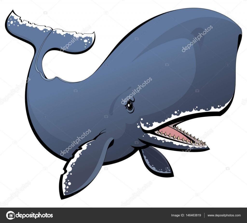 Chardonnay reccomend Sperm whale cartoon