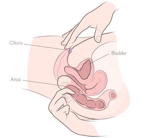 Indominus reccomend Female masturbation with finger techniqes