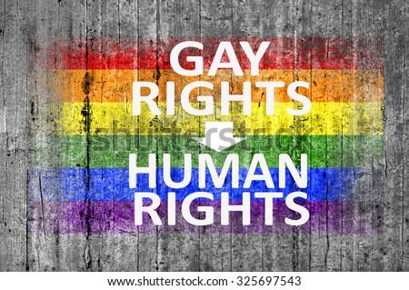 Gay and lesbian human rights
