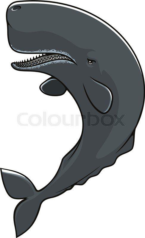 Punkin reccomend Sperm whale cartoon