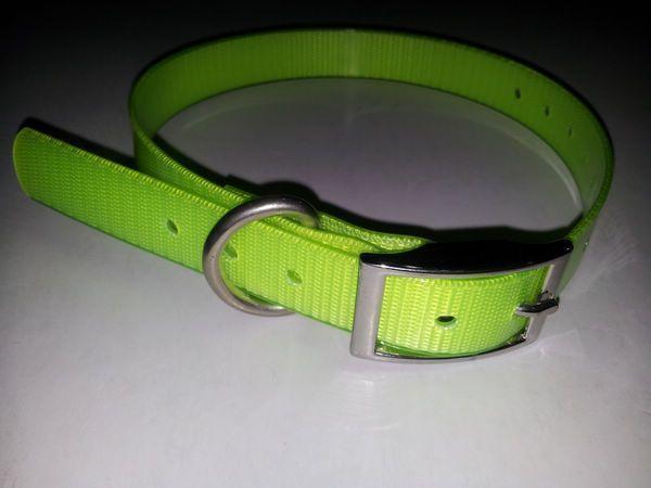 Dayglo collars with floresent strip