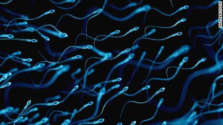 best of Sperm morphology and myths count Average