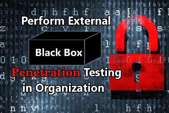 Black box wireless security penetration assessment