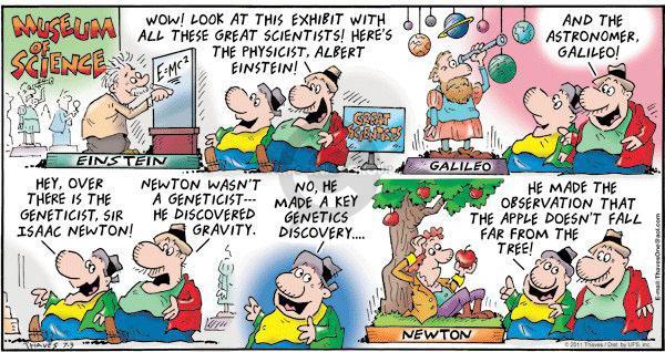 Einstein comic strip