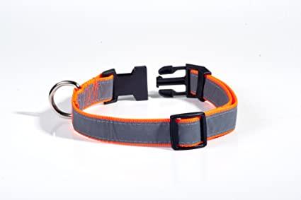best of Floresent with Dayglo strip collars