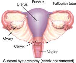 Cunt cervix belly distend