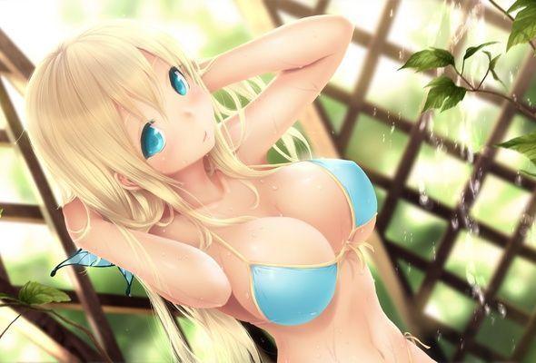 best of Hentai Ecchi wallpapers and