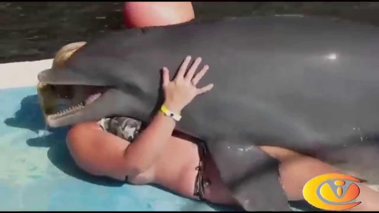 Girls Having Sex With Dolphins - Girls having sex with dolphins -...