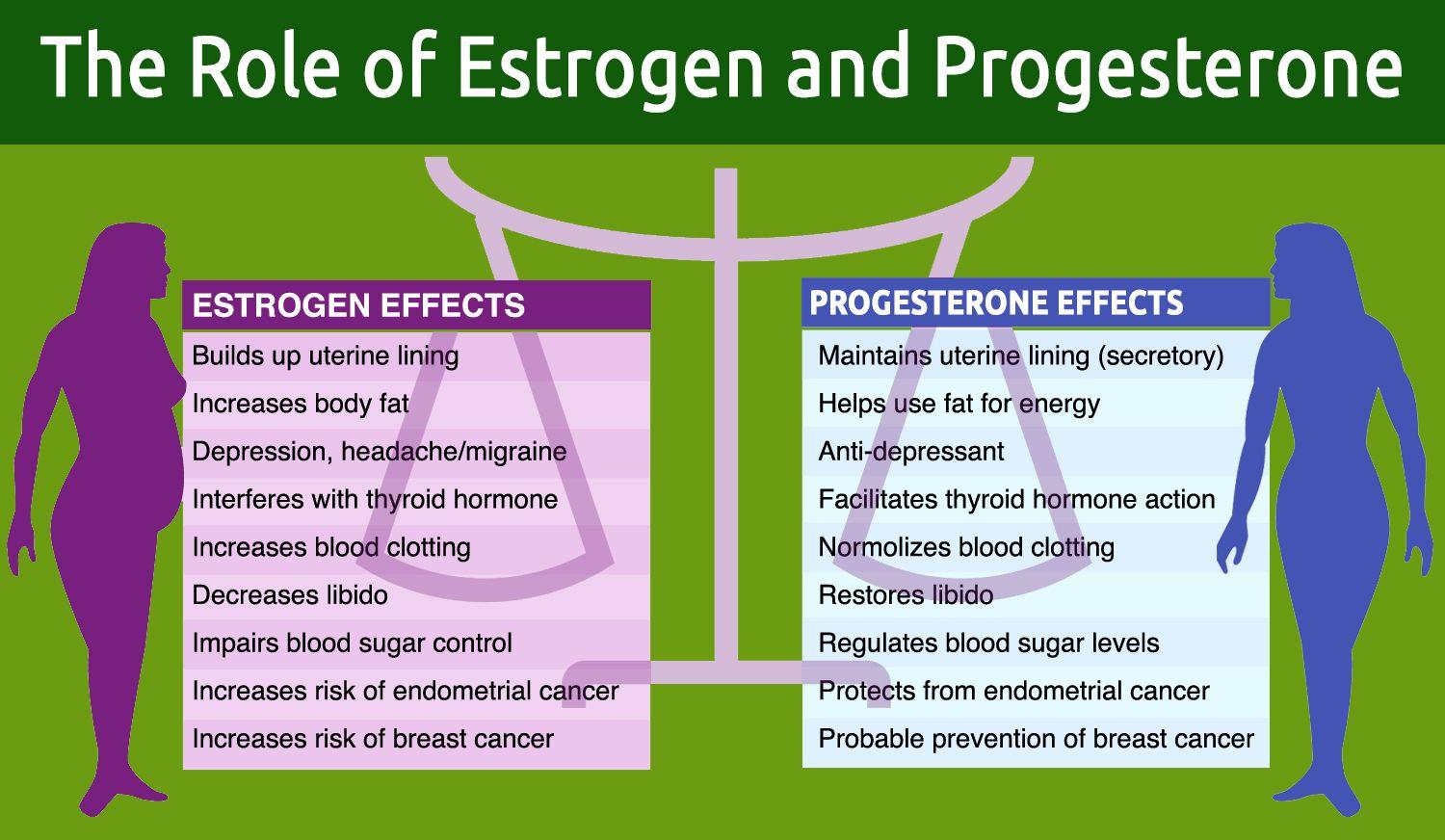 best of Function caused effect Progesterone sperm