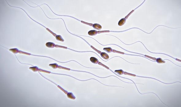 best of Modal Sperm count